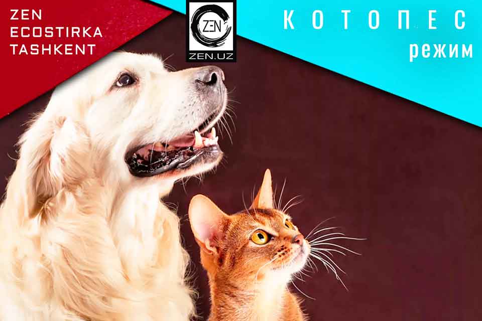zen-uz стира ковров режим КОТОПЕС. для кошек и собак
